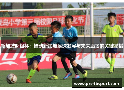 新加坡超级杯：推动新加坡足球发展与未来愿景的关键举措