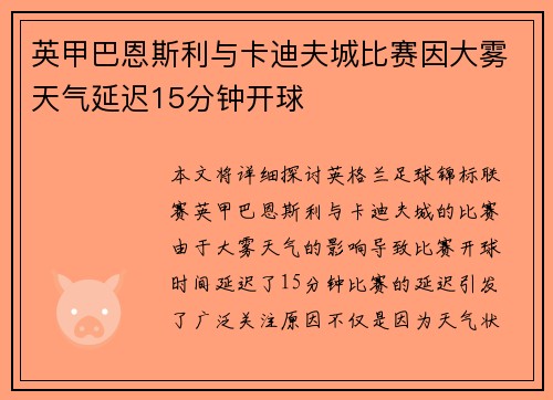 英甲巴恩斯利与卡迪夫城比赛因大雾天气延迟15分钟开球 英甲巴恩斯利与卡迪夫城比赛因大雾天气延迟15分钟开球